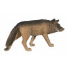 Lobo