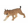 Lince Ibérico