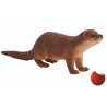 Nutria