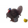 Pavo Macho