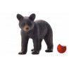 Cachorro de oso negro