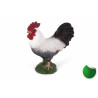 Gallo