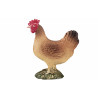 Gallina