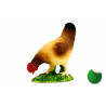 Gallina Comiendo