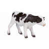 Ternero Holstein de pie