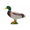 Pato Real