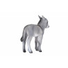Potro de burro