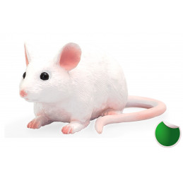 Ratón ergonómico ultracompacto Mojo de diseño portátil para un desplazamiento suave y preciso.