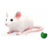 Ratón