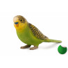 Periquito Verde