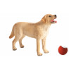 Labrador