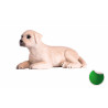 Cachorro Labrador