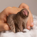 Figura realista de macaco japonés Schleich con pelaje espeso y detallado para niños y coleccionistas.