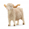 Cabra de Angora