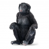 Bonobo hembra