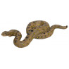 Anaconda