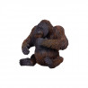 ORANGUTÁN