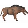 Entelodont Daeodon