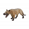 Hyaenodon Gigas