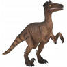 Velociraptor
