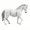 Lipizzaner Yegua