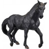Semental Andaluz Negro
