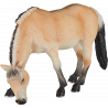 Yegua Fiordo