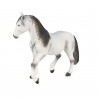 Semental Andaluz Blanco
