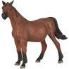 Caballo árabe