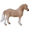 Pony galesa