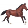 Caballo Thoroughbred