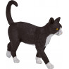Gato Blanco y Negro