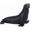 León Marino de California