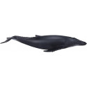 Figura detallada de ballena jorobada de juguete para coleccionistas y juego educativo infantil.