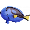 Pez espiga azul