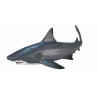 Tiburón toro