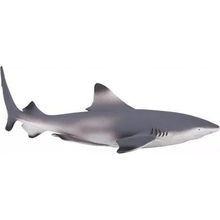 Figura detallada y realista de tiburón de arrecife de punta negra de 16 cm para coleccionistas y educación.