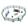 Juego de anillo ecuestre