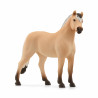 Caballo fiordo