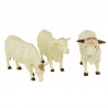 Vacas Simmental/Charlois (3.unidades)