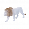 León blanco macho