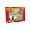 Set de iniciación "Asia" de Wild Life