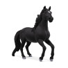Caballo lusitano