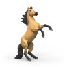 Macho mustang