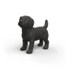 Cachorro Labrador Retriever negro