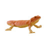 Dragón barbudo