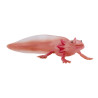 Axolote