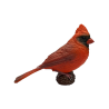 Cardenal Norteño