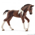 Potro Trakehner