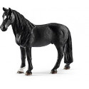 Caballo capón Tennessee Walker